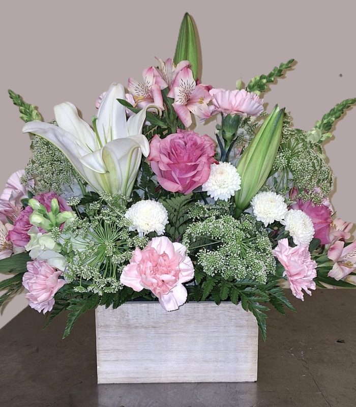 Blushing Blooms